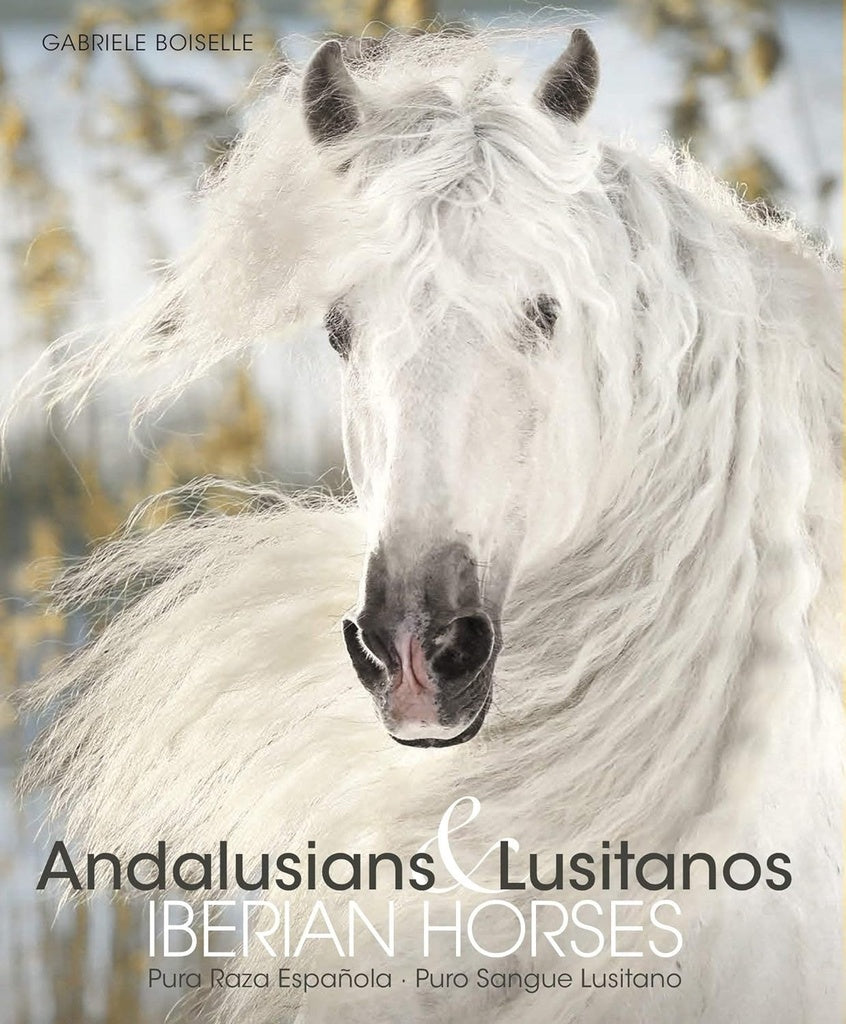 Andalusians & Lusitanos Iberian Horses. Spectacular Places | GABRIELE BOISELLE