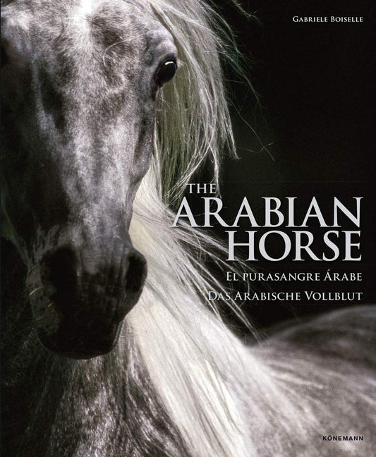 The Arabian Horse. Spectacular Places | GABRIELE BOISELLE