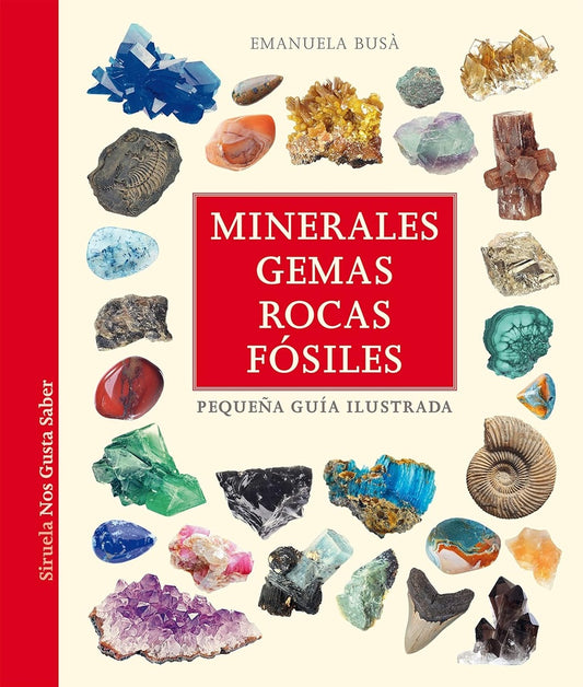 Minerales, gemas, rocas y fósiles: Pequeña guía ilustrada | EMANUELA BISA