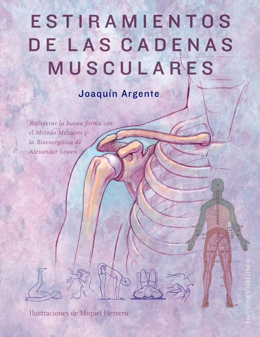 Estiramientos de las cadenas musculares | JOAQUÍN ARGENTE