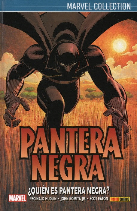 Pantera Negra - ¿Quien es pantera negra? | SI ASIGNAR
