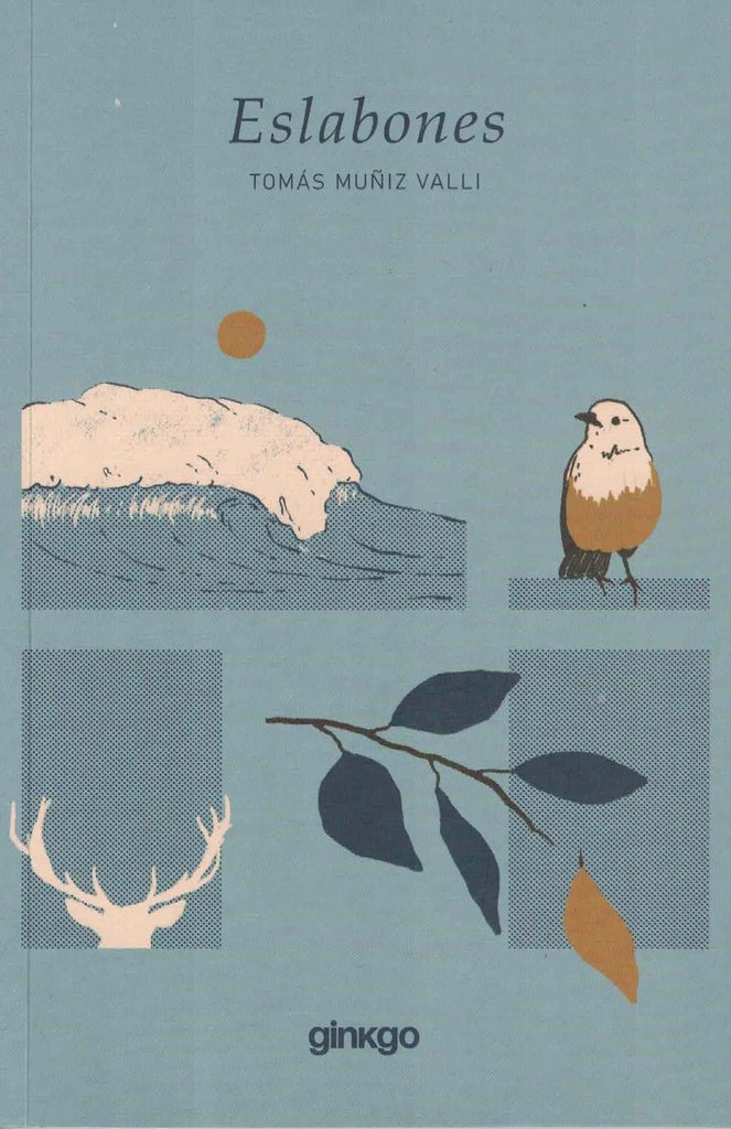 Eslabones | Tomás Muñiz Valli