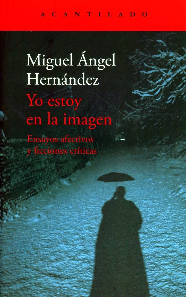 YO ESTOY EN LA IMAGEN | MIGUEL ANGEL HERNANDEZ