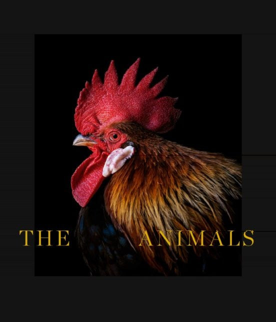 Los animales / The animals | Varios autores