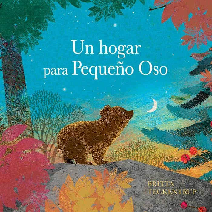 Un hogar para un pequeño oso | BRITTA TECKENTRUP