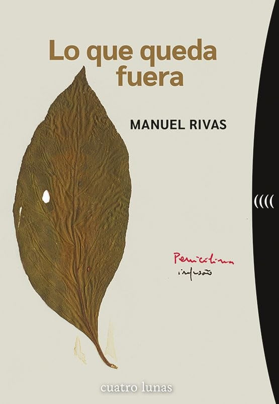 Lo que queda fuera | MANUEL RIVAS