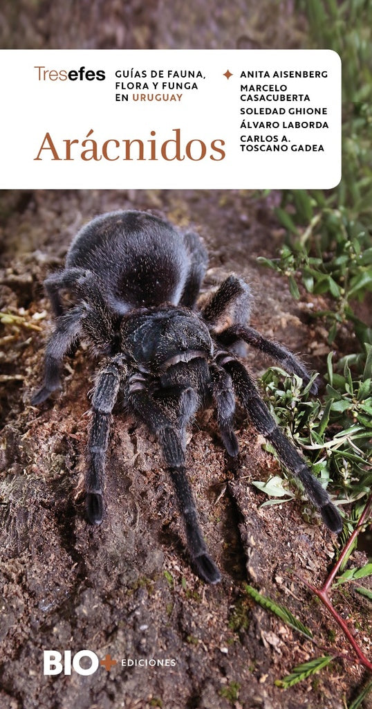 Arácnidos (Colección Tresefes) | Varios autores