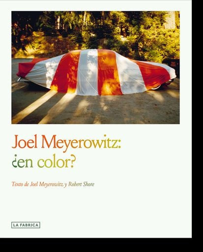 JOEL MEYEROWITZ: ¿EN COLOR? | SIN ASIGNAR