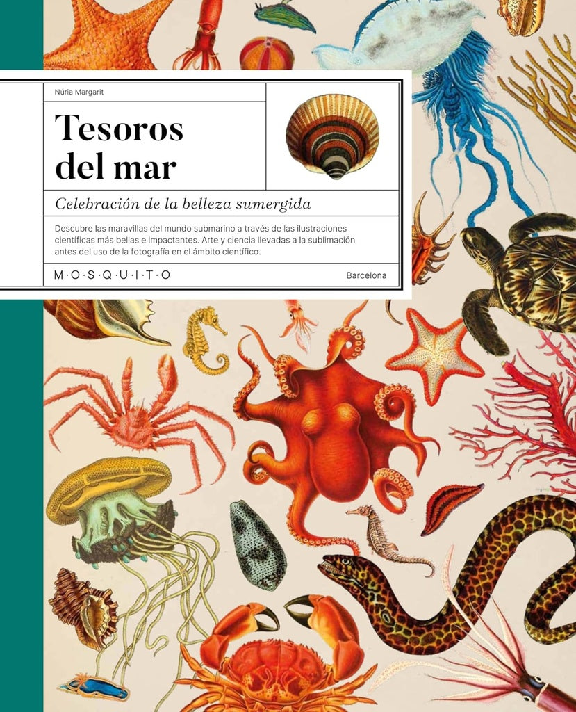 TESOROS DEL MAR | SIN ASIGNAR