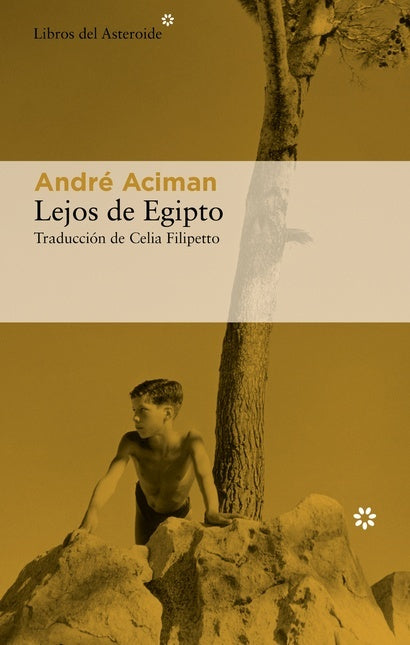 LEJOS DE EGIPTO | ANDRE ACIMAN