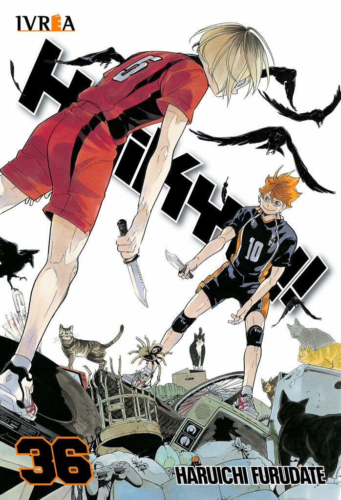 Haikyu!! 36 | Varios autores