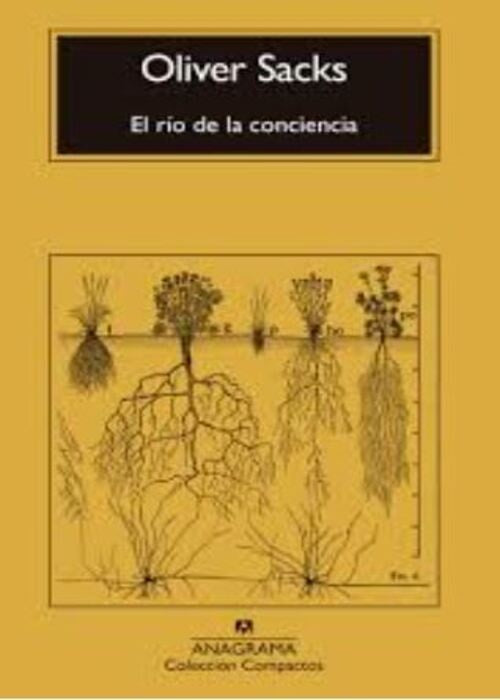 RIO DE LA CONCIENCIA, EL | OLIVER SACKS