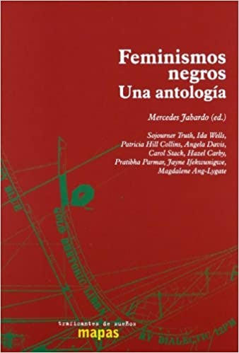 FEMINISMOS NEGROS. UNA ANTOLOGIA | AA.VV. .