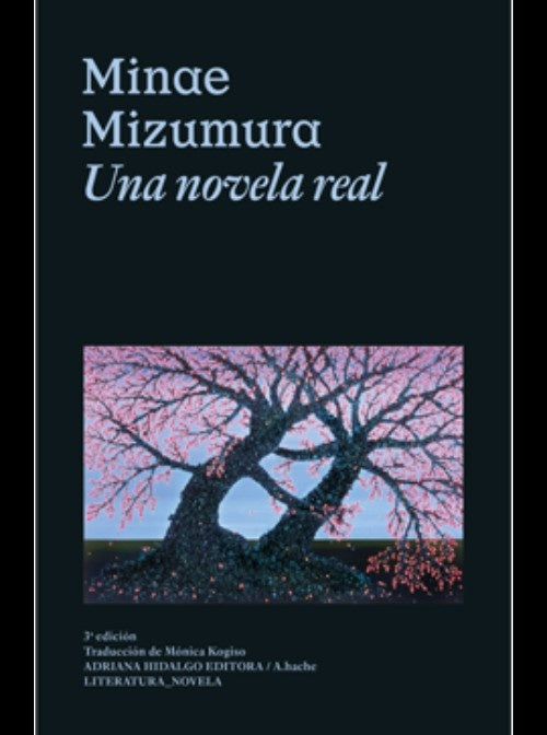NOVELA REAL, UNA | MINAE MIZUMURA