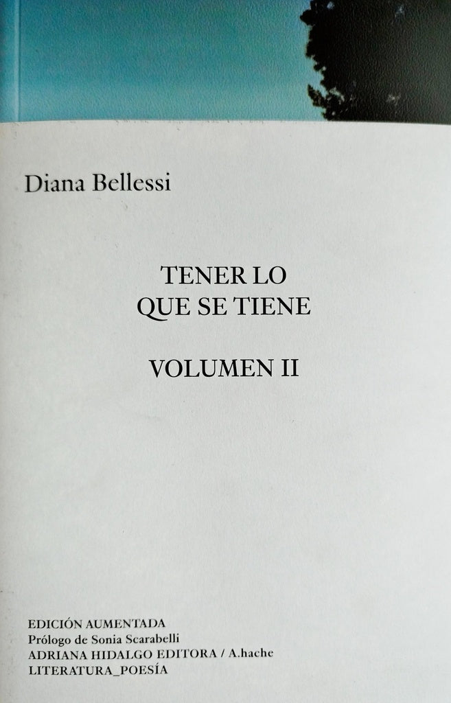 TENER LO QUE SE TIENE. VOL II | DIANA BELLESSI