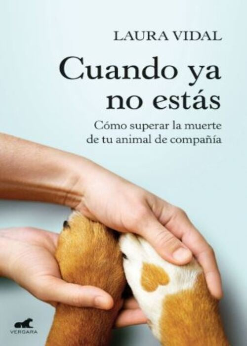 Cuando ya no estás | LAURA VIDAL