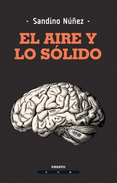 AIRE Y LO SOLIDO, EL | SANDINO NUÑEZ