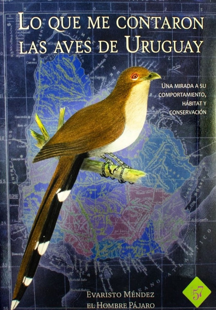 QUE ME CONTARON LAS AVES DE URUGUAY, LO | EVARISTO MENDEZ