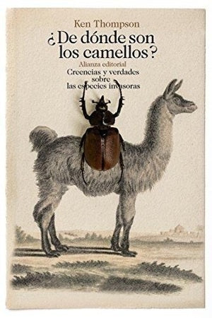 DE DONDE SON LOS CAMELLOS | KEN THOMPSON