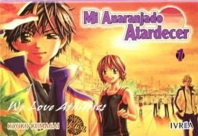 MI ANARANJADO ATARDECER 1 | KYOKO KUMAGAY
