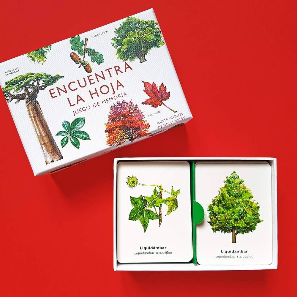 ENCUENTRA LA HOJA. JUEGO DE MEMORIA | TONYKIRKHAM|HOLLY EXLEY