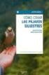 COMO CRIAR PAJAROS SILVESTRES | WALTER/ BALAGUER ROSA ROSS