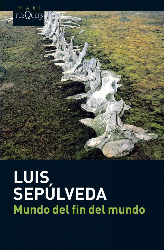 MUNDO DEL FIN DEL MUNDO | SEPULVEDALUIS