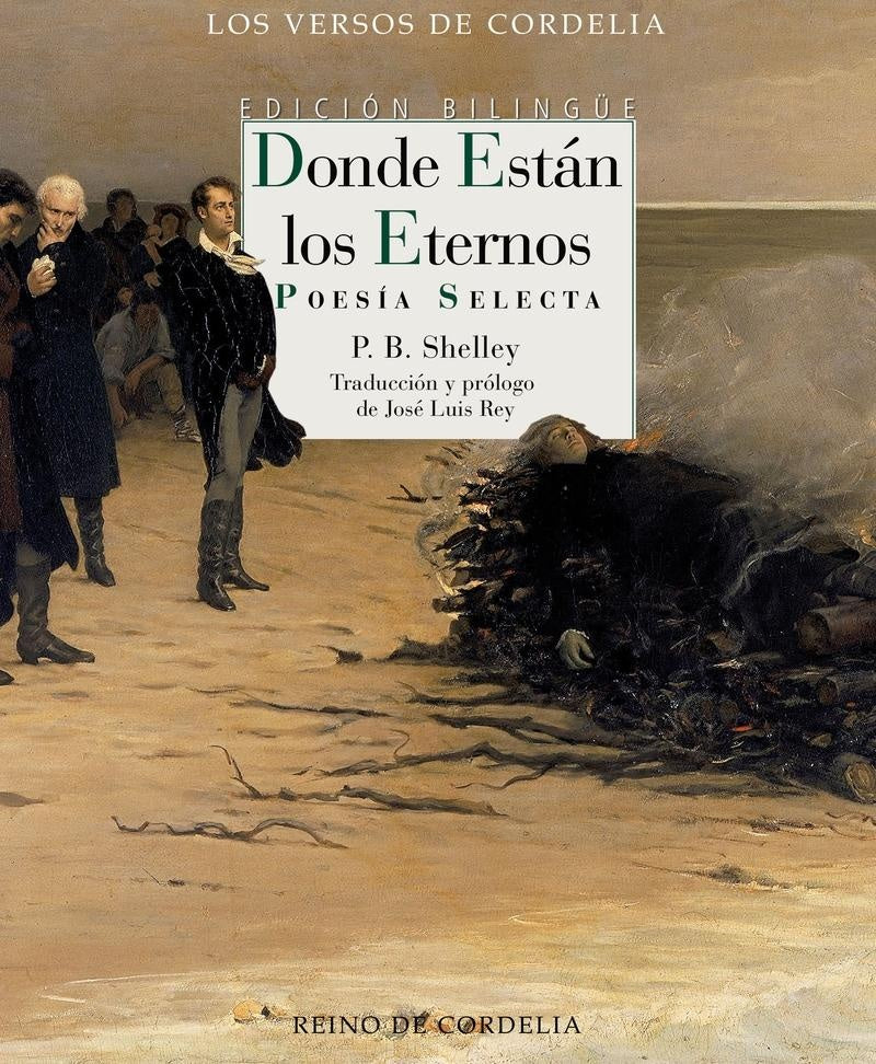 DONDE ESTAN LOS ETERNOS | BYSSHE SHELLEYPERCY