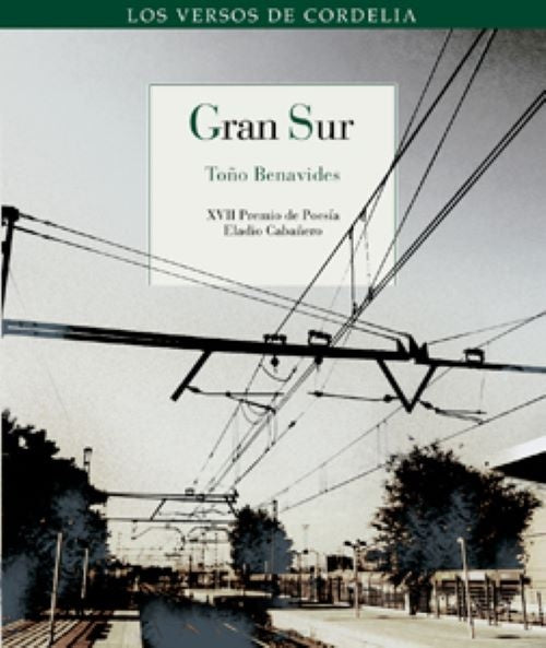 GRAN SUR | BENAVIDES GONZALEZTOÑO