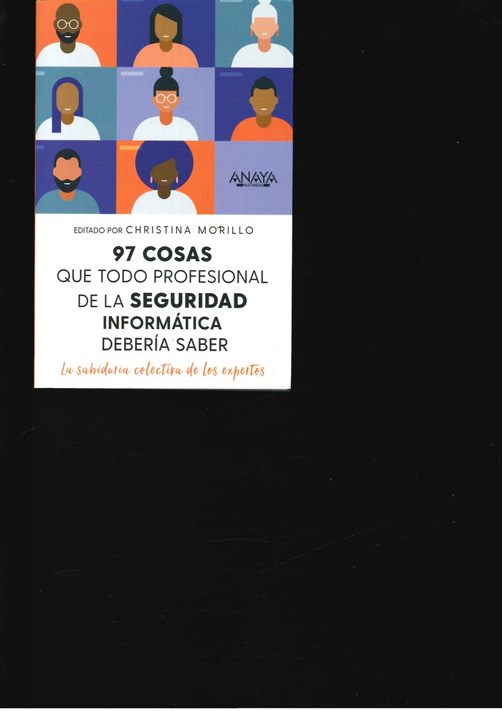 97 COSAS QUE TODO PROFESIONAL DE SEGURIDAD DE LA INFORMACION | MORRILLO CHRISTINA
