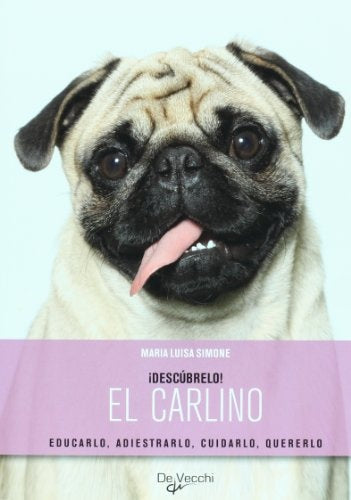 DESCUBRELO! EL CARLINO | MARIA LUISA SIMONE