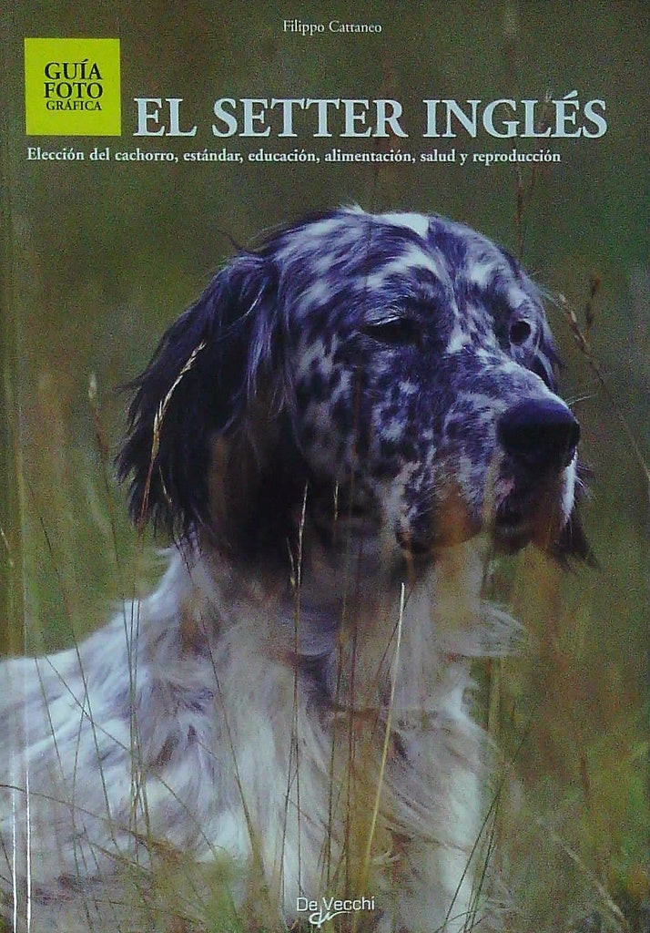 SETTER INGLES | CATTANEO