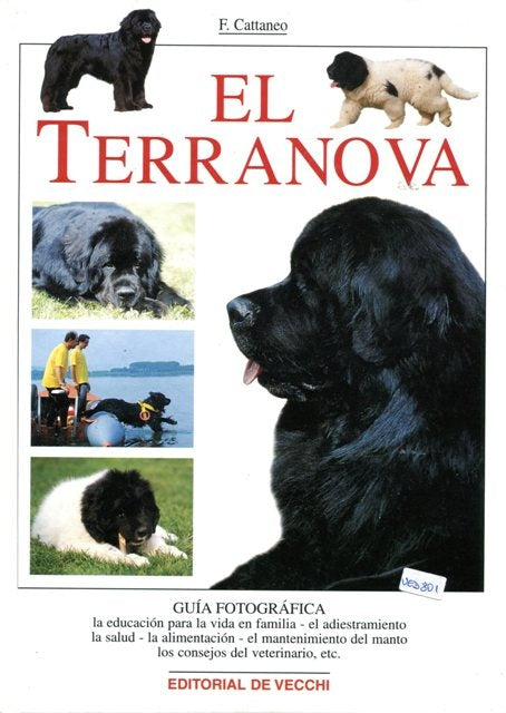 TERRANOVA, EL | CATTANEO