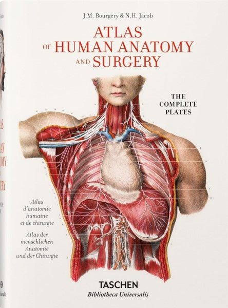BOURGERY ATLAS OF ANATOMY (ES/IT/PO) | HEINRICH / AA.VV. HOFFMANN