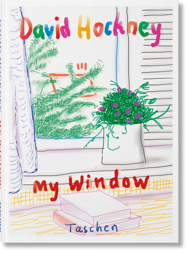 DAVID HOCKNEY MY WINDOW