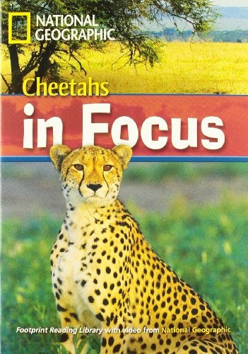 Cheetahs in Focus c/audio video | SIN ASIGNAR