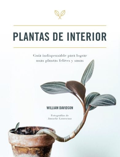 Plantas de interior | DAVIDSON WILLIAM