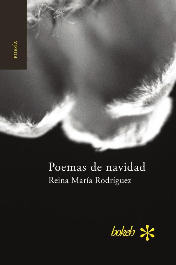 Poemas de navidad | ReinaMar?a Rodriguez