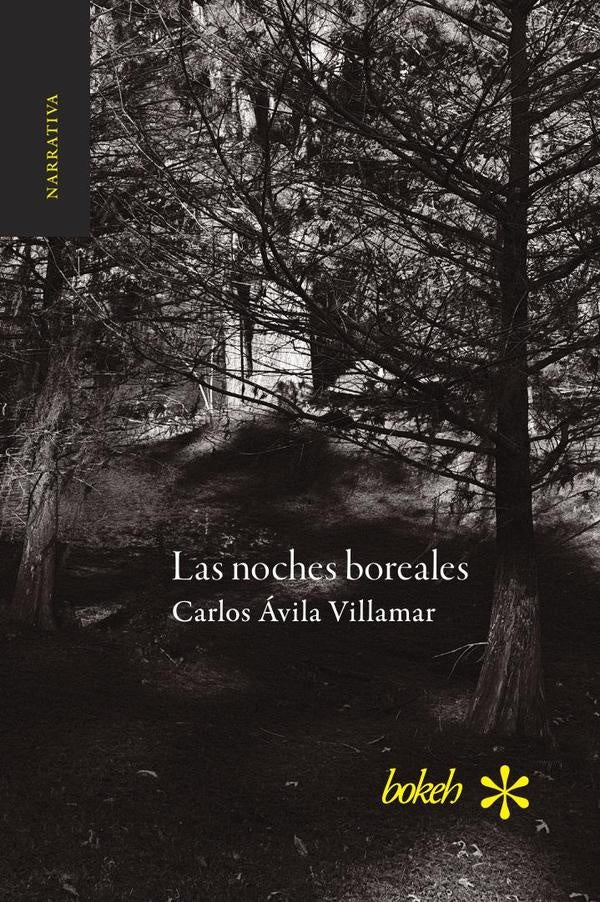 Las noches boreales | Carlos?vila Vilamar