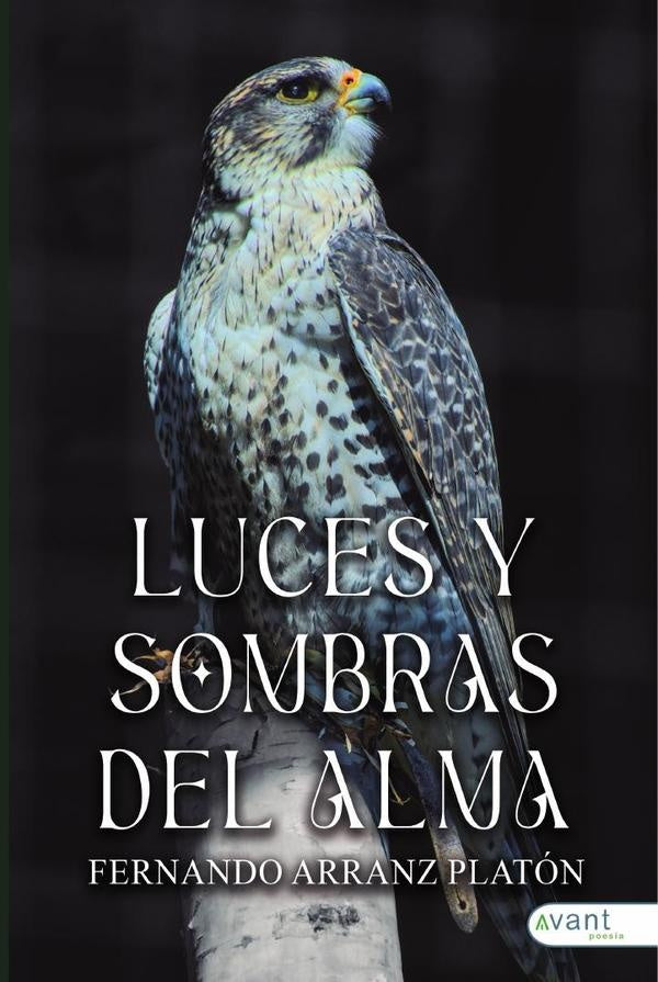 Luces y sombras del alma | FernandoArranz Plat?n