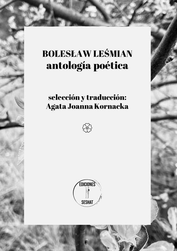 Boleslaw Lesmian | AgataJoanna Kornacka