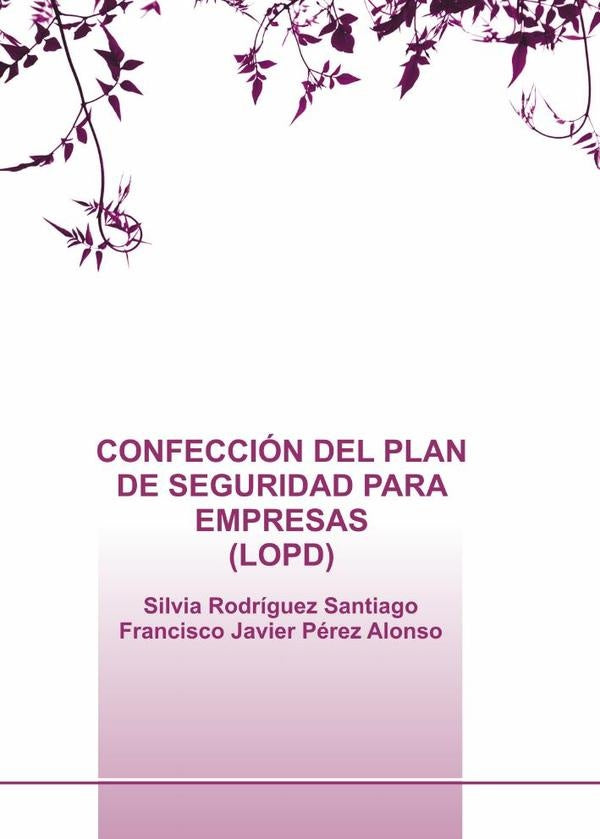 Confecci?n del plan de seguridad para empresas (lopd) | SilviaRodr?guez Santiago