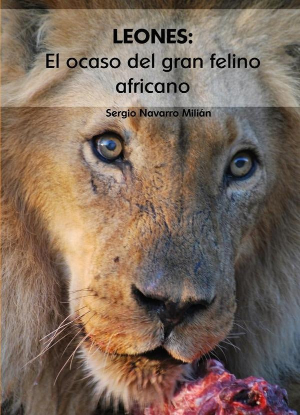 LEONES: El ocaso del gran felino africano | SergioNavarro Mili?n