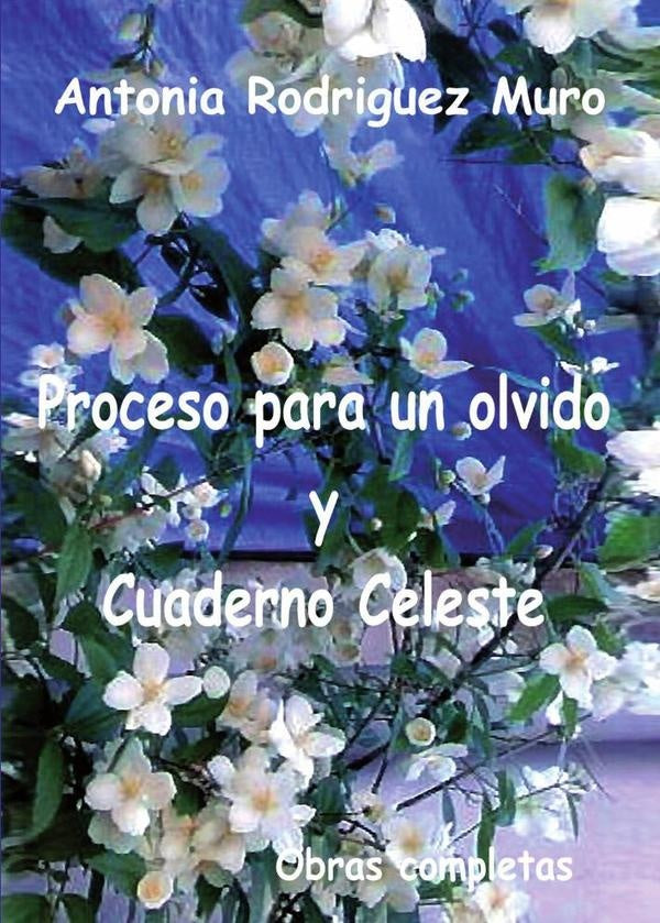 Proceso para un olvido y cuaderno celeste. | AntoniaRodriguez Muro