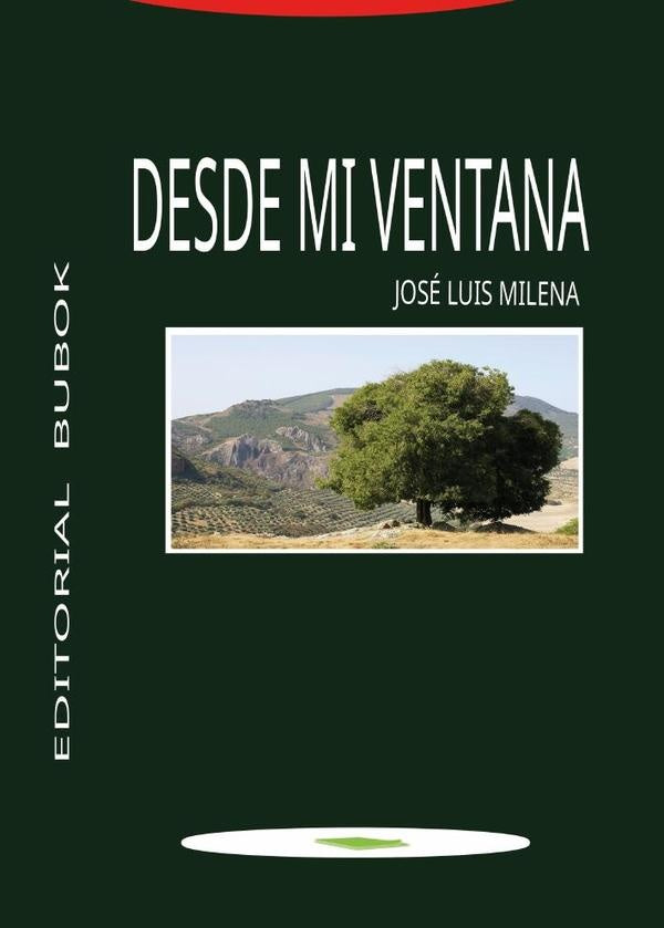 Desde mi ventana | JoseLuis Milena