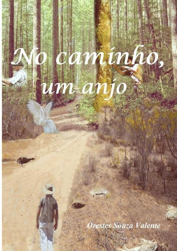 No Caminho, Um Anjo | OrestesSouza Valente