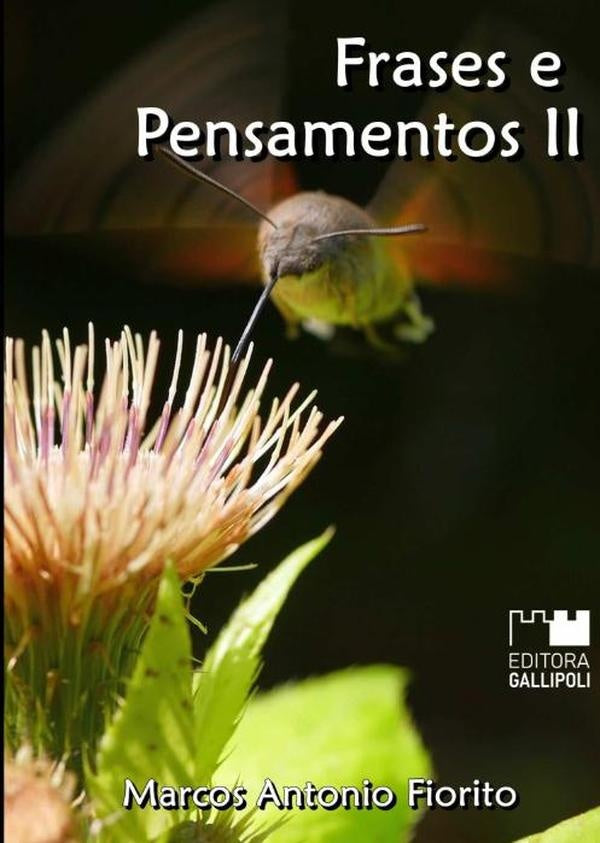 Frases E Pensamentos Ii | MarcosAntonio Fiorito
