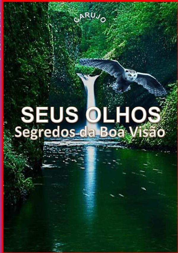 Seus Olhos | Carujo