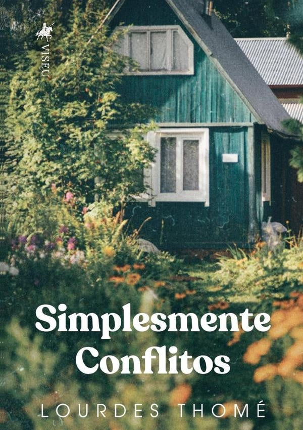 Simplesmente Conflitos | Lourdes Thome