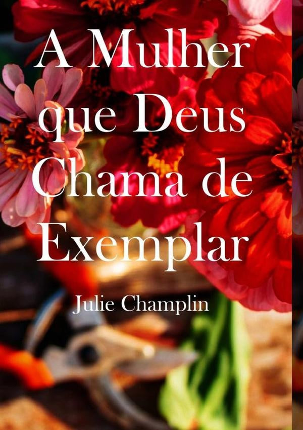 A Mulher Que Deus Chama De Exemplar | JulieKay Champlin